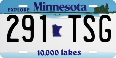 MN license plate 291TSG
