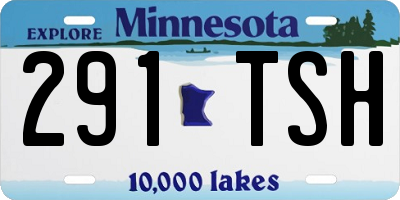 MN license plate 291TSH
