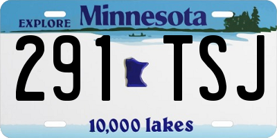 MN license plate 291TSJ