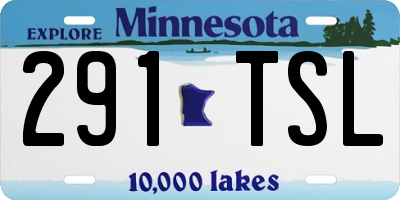 MN license plate 291TSL