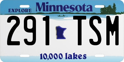 MN license plate 291TSM