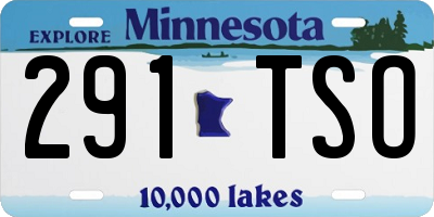 MN license plate 291TSO