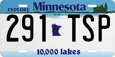 MN license plate 291TSP