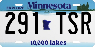 MN license plate 291TSR