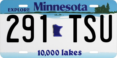 MN license plate 291TSU