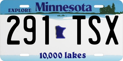 MN license plate 291TSX