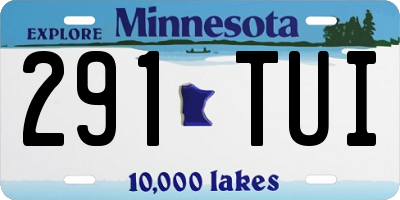 MN license plate 291TUI