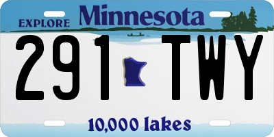 MN license plate 291TWY
