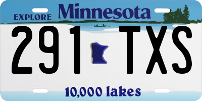 MN license plate 291TXS