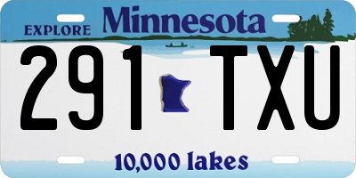 MN license plate 291TXU