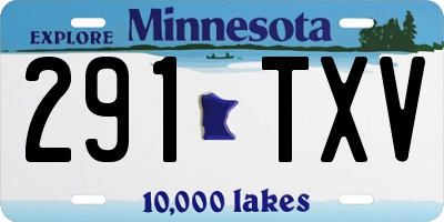 MN license plate 291TXV