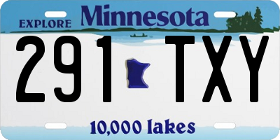 MN license plate 291TXY