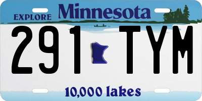 MN license plate 291TYM