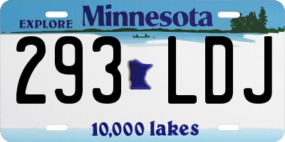 MN license plate 293LDJ