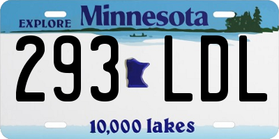 MN license plate 293LDL