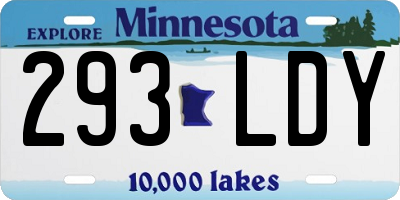 MN license plate 293LDY