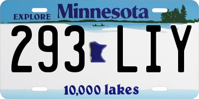 MN license plate 293LIY