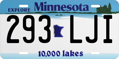 MN license plate 293LJI