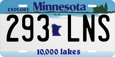 MN license plate 293LNS