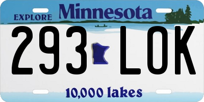 MN license plate 293LOK