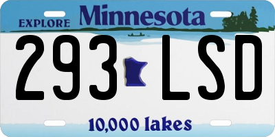 MN license plate 293LSD