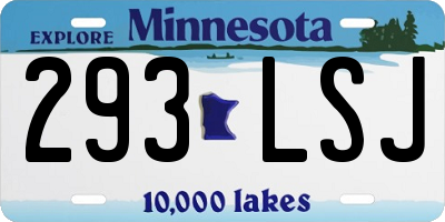 MN license plate 293LSJ