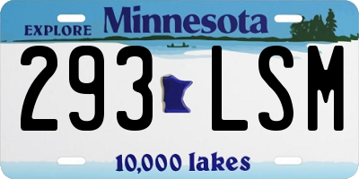 MN license plate 293LSM