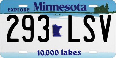 MN license plate 293LSV