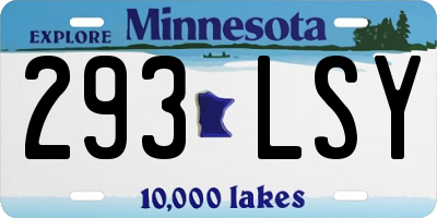 MN license plate 293LSY