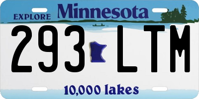 MN license plate 293LTM