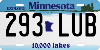 MN license plate 293LUB