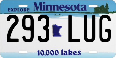MN license plate 293LUG
