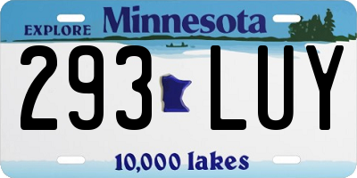 MN license plate 293LUY