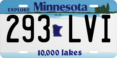 MN license plate 293LVI