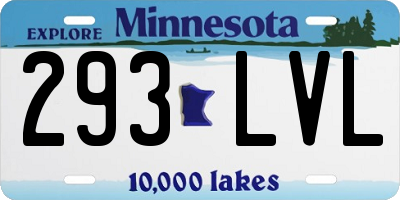 MN license plate 293LVL