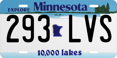 MN license plate 293LVS