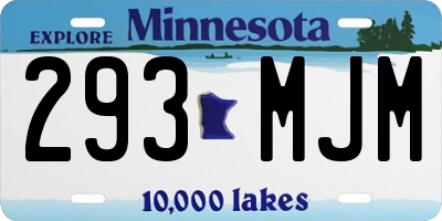 MN license plate 293MJM