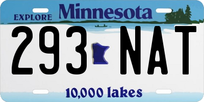 MN license plate 293NAT
