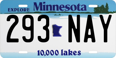 MN license plate 293NAY