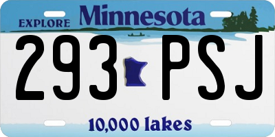 MN license plate 293PSJ