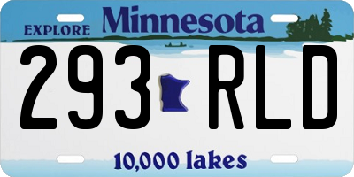 MN license plate 293RLD