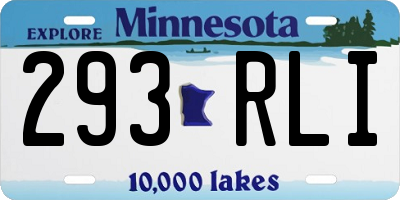 MN license plate 293RLI