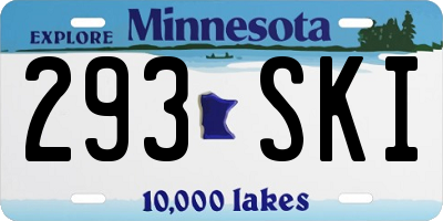 MN license plate 293SKI