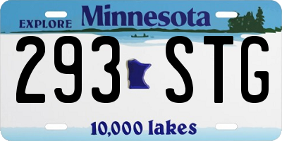 MN license plate 293STG