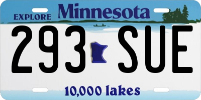 MN license plate 293SUE