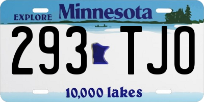 MN license plate 293TJO