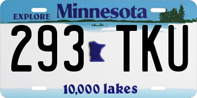 MN license plate 293TKU