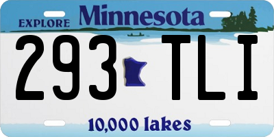 MN license plate 293TLI