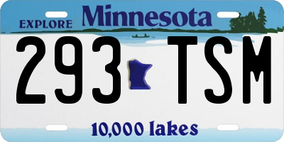 MN license plate 293TSM