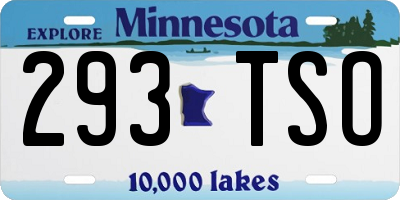 MN license plate 293TSO